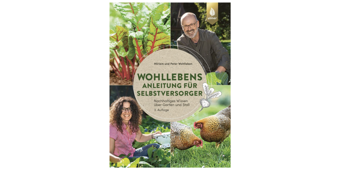 Die besten Produkte im Februar
