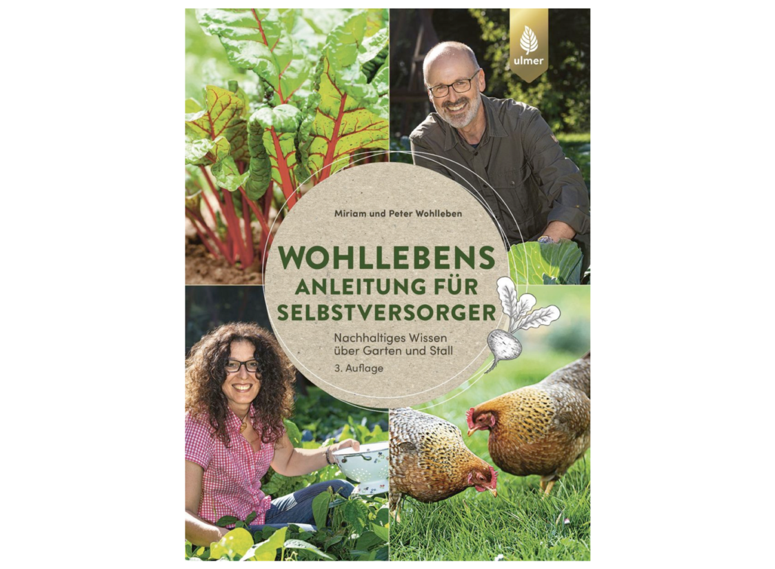 Die besten Produkte im Februar Die besten Produkte im Februar