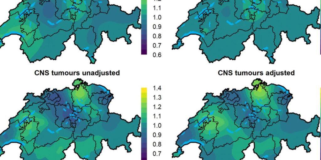 Geografische Verteilung von Lymphom (oben) und Hirntumor (unten) bei Kindern. Die hellgrünen Stellen unten markieren die beiden Risikogebiete Nördliches Zürich und Seeland. (Pressebild)