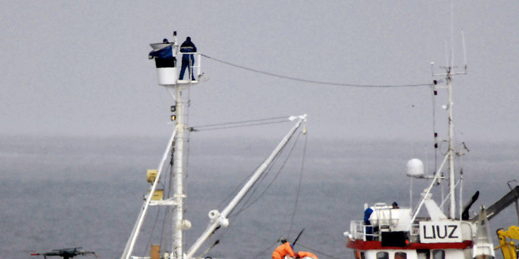 Dieses Foto von Tierschützern zeigt ein norwgisches Walfangboot. (Archiv)