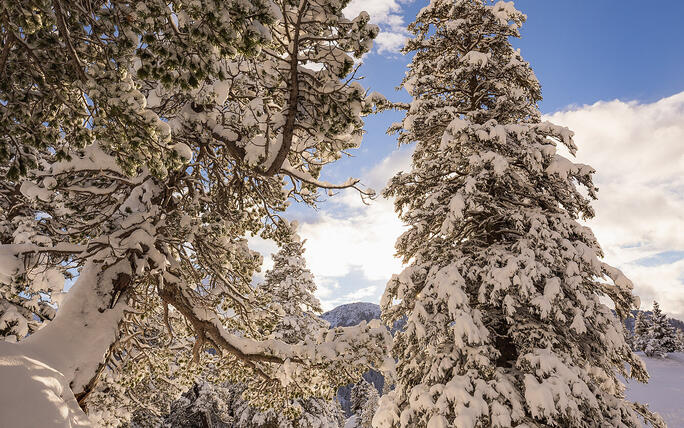 Der erste Schnee in Malbun und Steg
