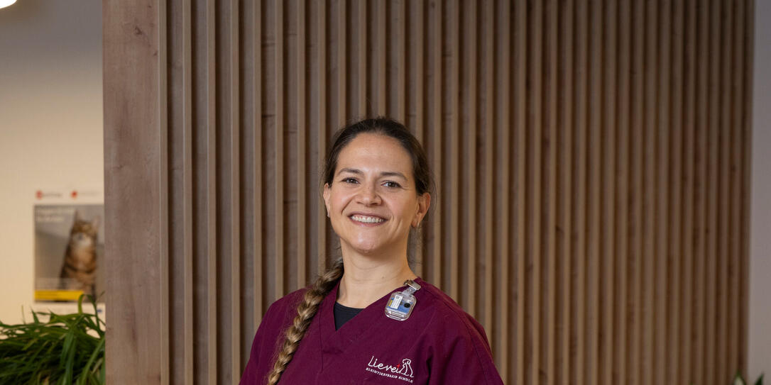 241121 Die Chefin - Sandy Kindle