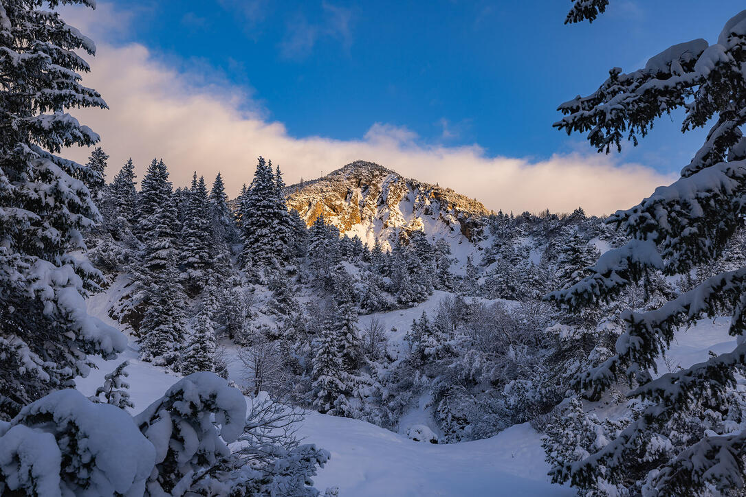 Der erste Schnee in Malbun und Steg