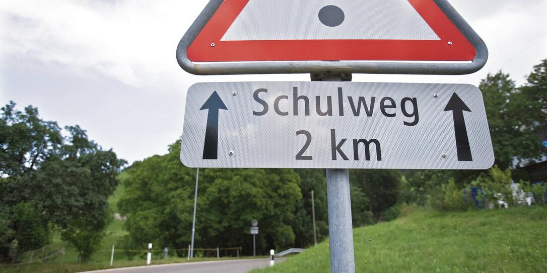 SCHWEIZ, SCHILD, SCHILDER, VERKEHRSSCHILD, GEFAHRENSCHILD, GEFAHRENSIGNAL, SIGNAL, SIGNALE, SIGNALISATION, SIGNALISATIONSSCHILD, SCHULWEG, STRASSE, STRASSEN, WIESE, GRAS, LANDSCHAFT, WALD, WAELDER, GEFAHR, VELOWEG, VELOWEGE, FAHRRADWEG, FAHRRADWEGE, SCHUL