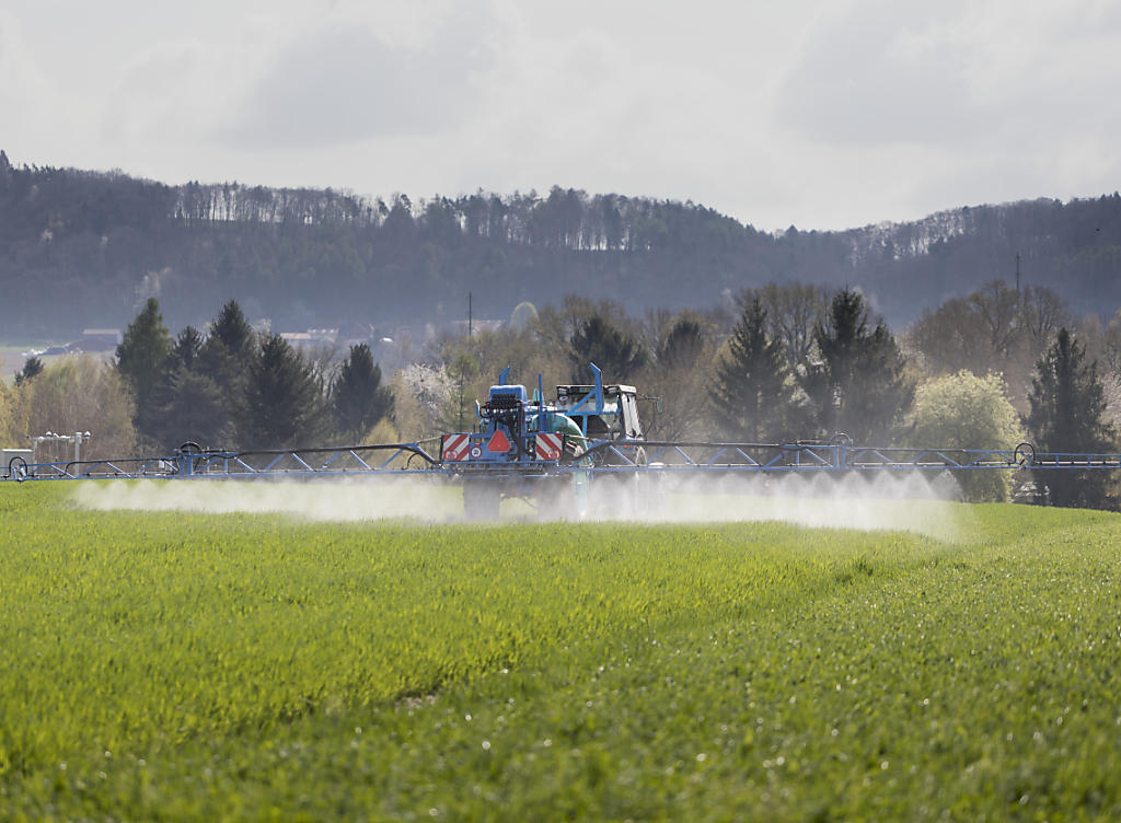 Ein Landwirt besprüht in Payerne VD sein Feld: Der Bundesrat will Alternativen zum chemischen Pflanzenschutz fördern. (Archivbild)