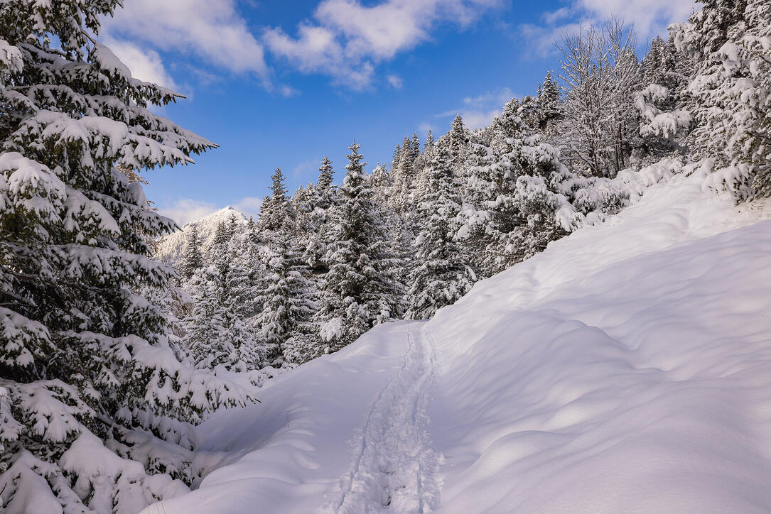 Der erste Schnee in Malbun und Steg
