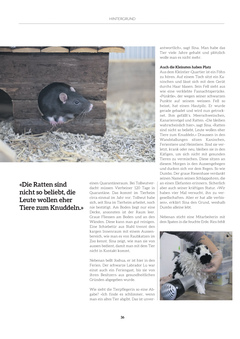 Seite 036
