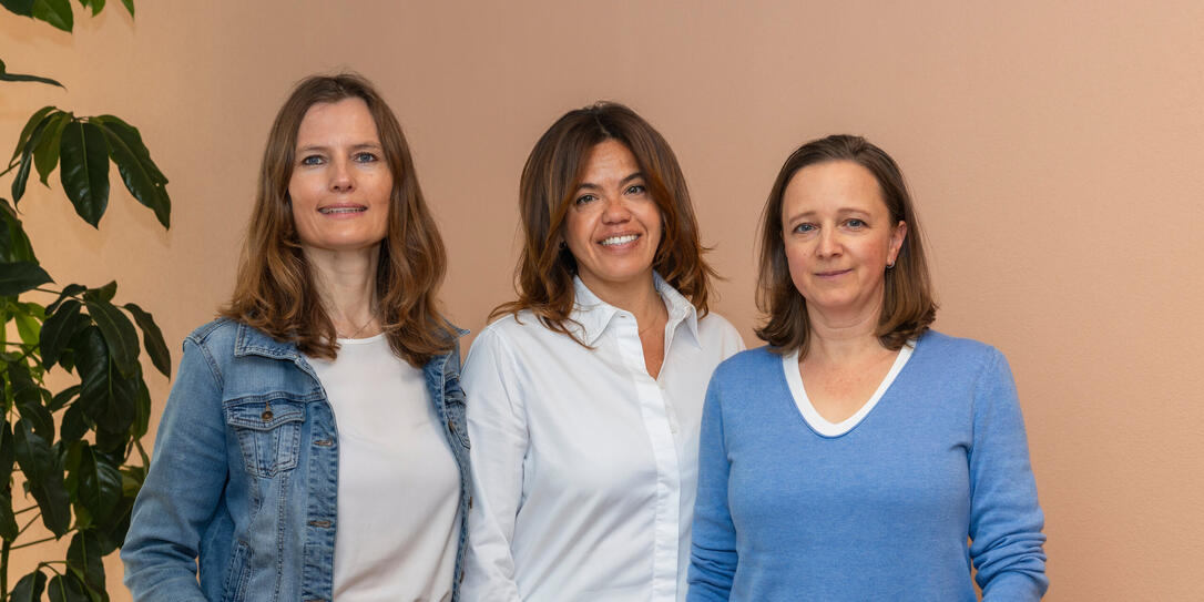 Netzwerk Familie Liechtenstein