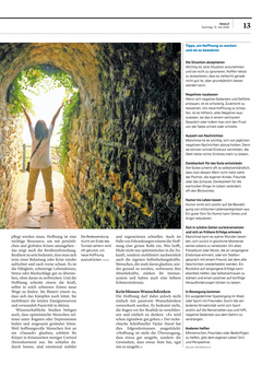 Seite 013