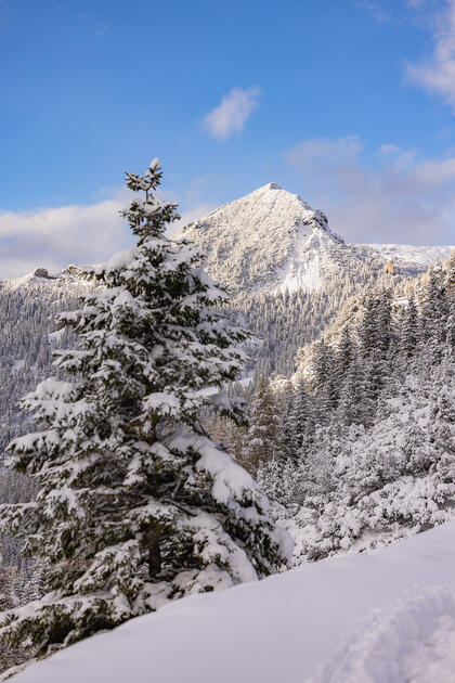 Der erste Schnee in Malbun und Steg