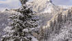 Der erste Schnee in Malbun und Steg