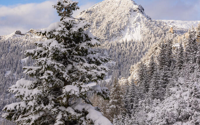 Der erste Schnee in Malbun und Steg