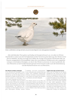 Seite 031