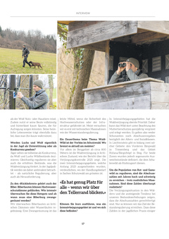 Seite 017