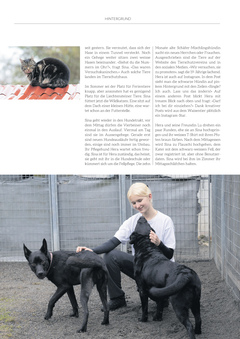 Seite 037