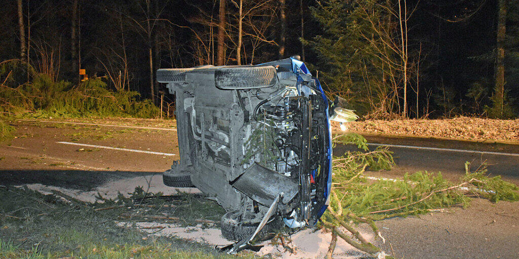 Im Surseewald brach eine Tanne auf einer Höhe von rund fünf Metern ab und stürzte vor ein Auto.