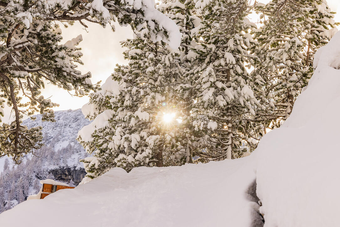 Der erste Schnee in Malbun und Steg