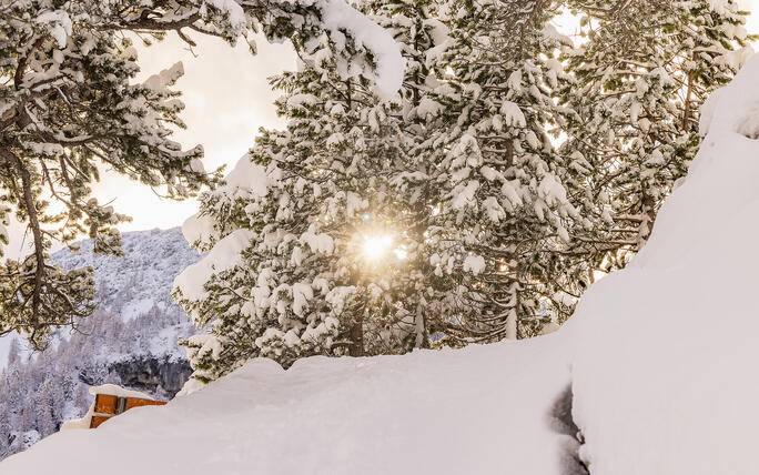 Der erste Schnee in Malbun und Steg