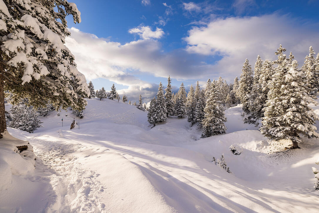 Der erste Schnee in Malbun und Steg