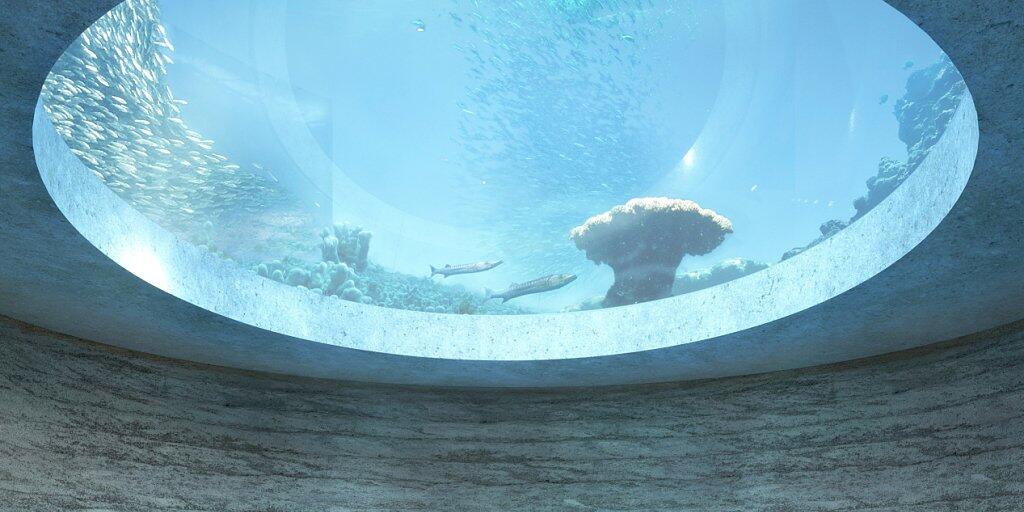 Der Zoo will im Ozeanium mittels Aquarien mit den jeweils passenden Tieren etwa Gezeitenströmungen oder Probleme des Mittelmeeres thematisieren. (Visualisierung) Der Zoo will im Ozeanium mittels Aquarien mit den jeweils passenden Tieren etwa Gezeitenströmungen oder Probleme des Mittelmeeres thematisieren. (Visualisierung)