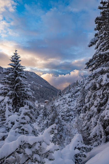 Der erste Schnee in Malbun und Steg