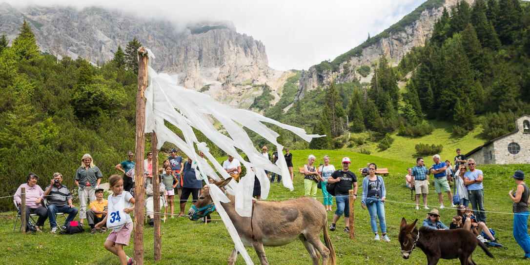 Eselfest in Malbun