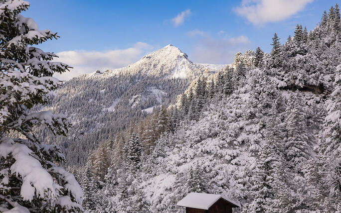 Der erste Schnee in Malbun und Steg