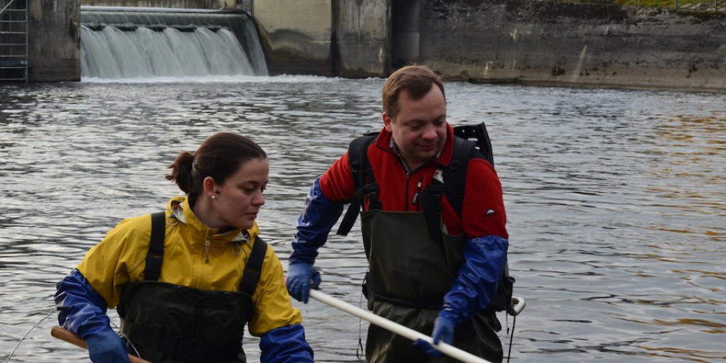 Eawag-Forschende Alexandre Gouskov und Marta Reyes sammeln Fische für ihre Analysen beim Kraftwerk Dietikon ZH. Eawag-Forschende Alexandre Gouskov und Marta Reyes sammeln Fische für ihre Analysen beim Kraftwerk Dietikon ZH.