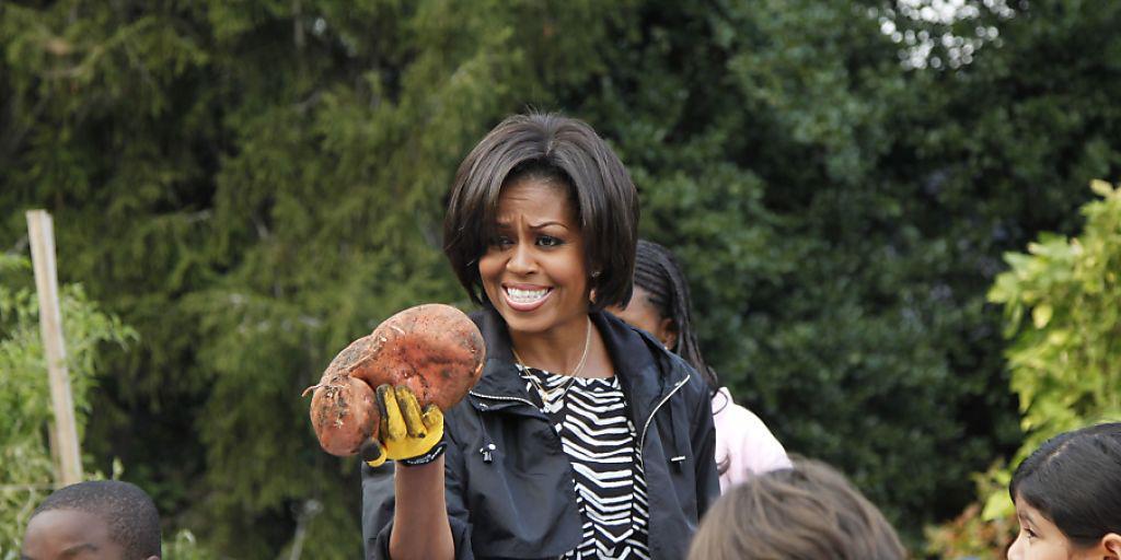 Im Küchengarten der First Lady beim Weissen Haus wachsen sie schon - jetzt werden Süsskartoffeln auch in der Schweiz getestet.