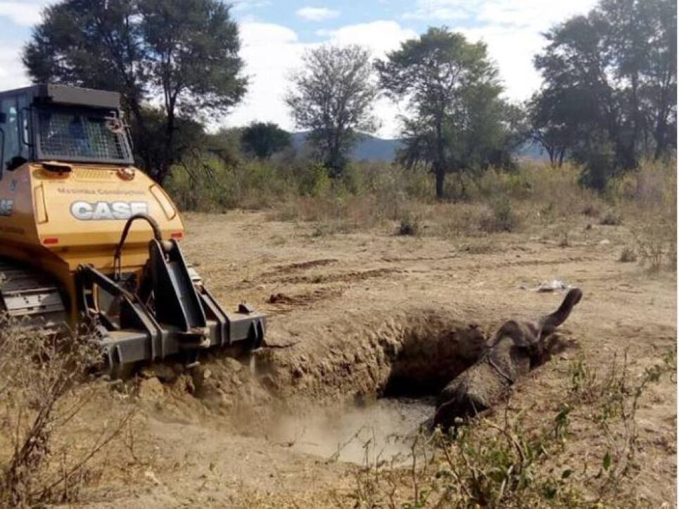 Der junge Elefant hatte bereits die ganze Nacht in der Schlammgrube verbracht, als Tierschützer mit einer Planierraupe die steilen Wände der Grube abflachten.