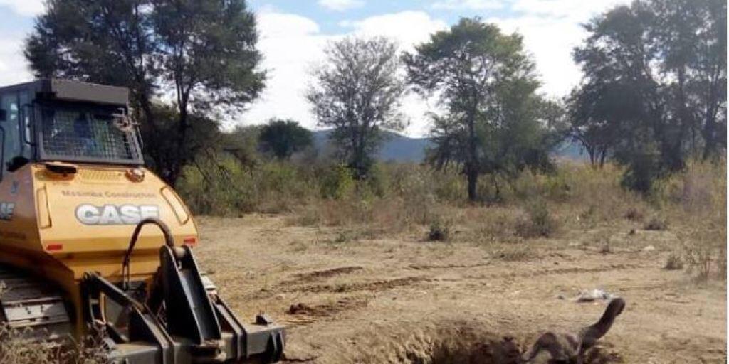 Der junge Elefant hatte bereits die ganze Nacht in der Schlammgrube verbracht, als Tierschützer mit einer Planierraupe die steilen Wände der Grube abflachten.