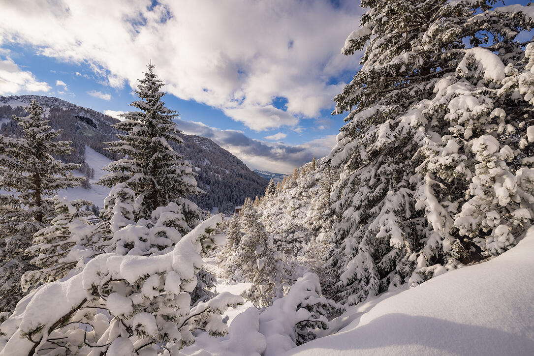 Der erste Schnee in Malbun und Steg