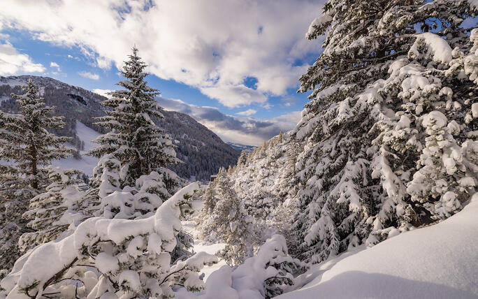 Der erste Schnee in Malbun und Steg