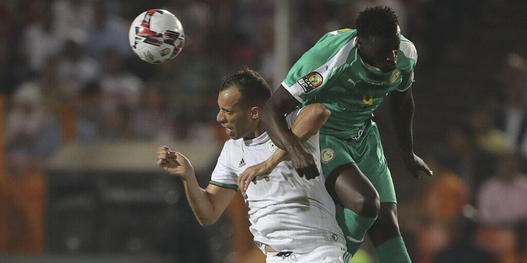Harte Zweikämpfe mit dem besseren Ende für Algerien: Mit einem 1:0-Sieg gegen Senegal wurden die Wüstenfüchse zum zweiten Mal Afrika-Meister
