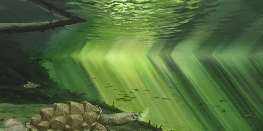 Künstlerische Darstellung der Urzeit-Schildkröte Platychelys oberndorferi. (Illustration) Künstlerische Darstellung der Urzeit-Schildkröte Platychelys oberndorferi. (Illustration)