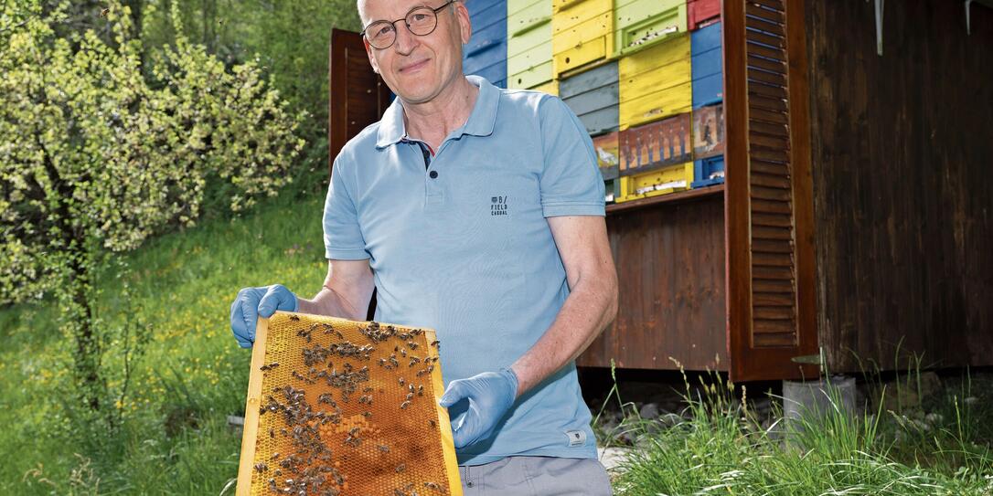 Interview Imker Gerhard Marock zur asiatischen Hornisse, in Maur Interview Imker Gerhard Marock zur asiatischen Hornisse, in Maur