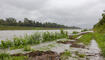 Hochwasser am Rhein